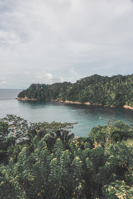 Coastal lifestyle insights